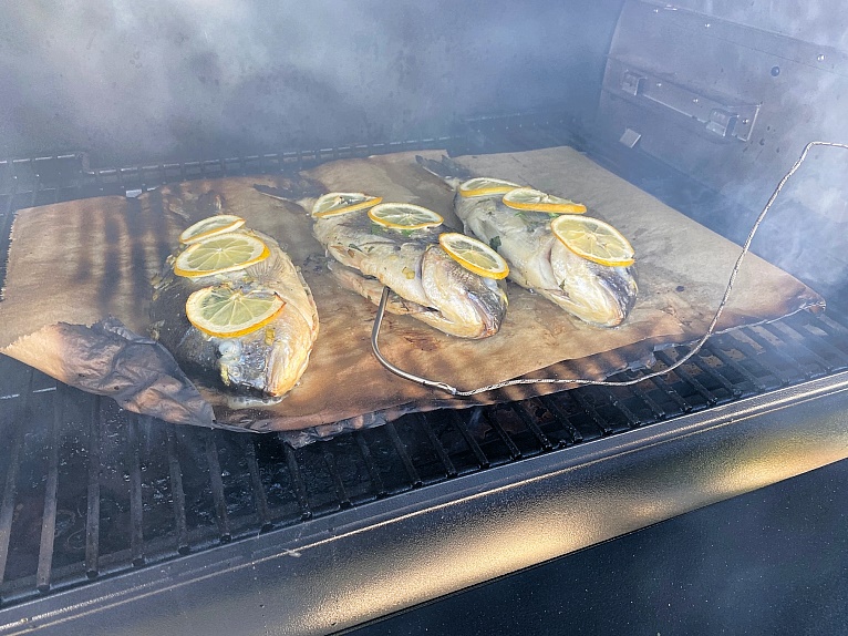 3-Dorade-vom-Pellet-Smoker-Grill-Gongoll-Traeger-Ironwood-b